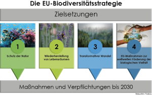 Prozess-Graphik: Weg zum post-2020 GBF